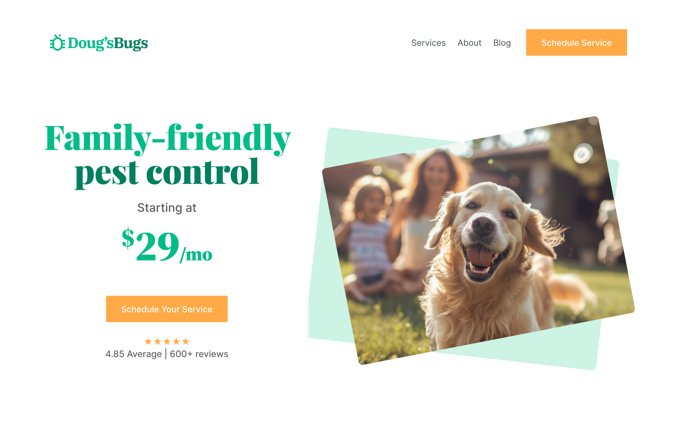 66118a54721f152666619643_Frame 3372218